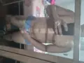 Leonardo Assis, acompanhante em São Paulo